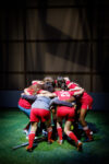The Wolves